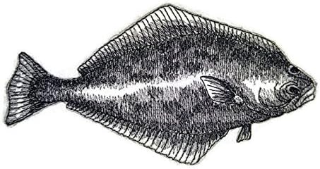 שפע הטבע של הטבע סקיצת דגים מותאמת אישית של הטבע [דג הליבוט] ברזל רקום על תיקון/תפירה [6 x 3.17]